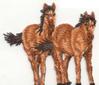 Iron On Embroidered Appliques