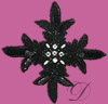 Sequin  Applique