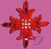 Sequin  Applique