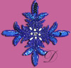 Sequin  Applique