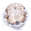 20ss Rose Montee