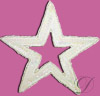 Sequin Star Applique