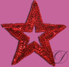 Sequin Star Applique
