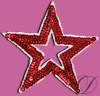 Sequin Star Applique