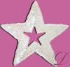 Sequin Star Applique