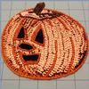 Sequined Sew On Applique