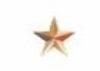 Iron On Star Nailheads